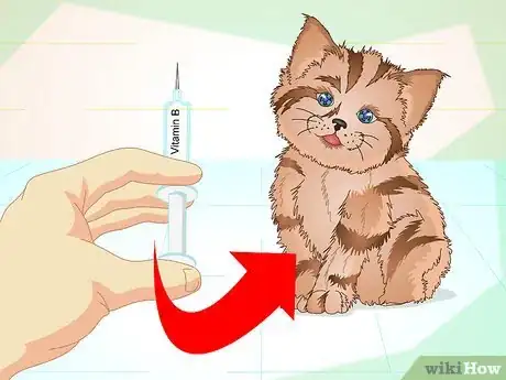 Image titled Get a Sick Kitten to Eat Step 22