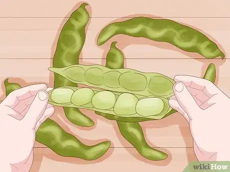 Image titled Grow Broad Beans Step 15