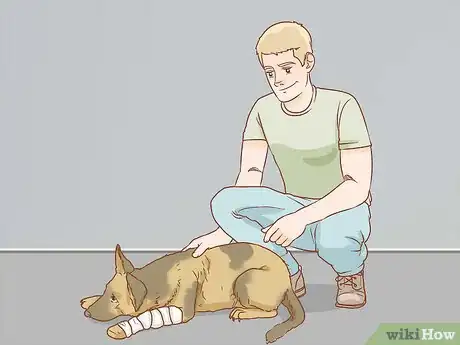 Image titled Help a Dog Recover from a Broken Leg Step 18