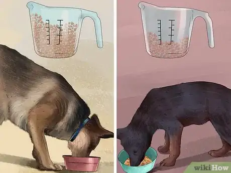 Image titled Take Care of a German Shepherd Step 3